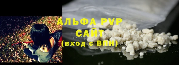 индика Богородск