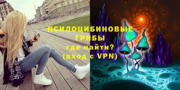 марки nbome Богданович