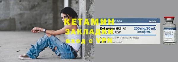 индика Богородск