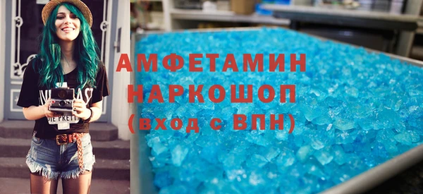 индика Богородск