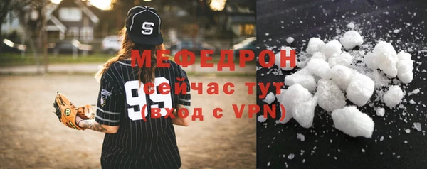 индика Богородск