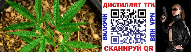 наркошоп shop какой сайт ТГК THC oil Ижевск