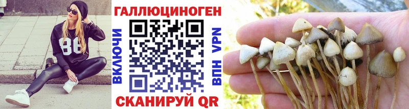 купить  сайты  Ижевск  Галлюциногенные грибы ЛСД 